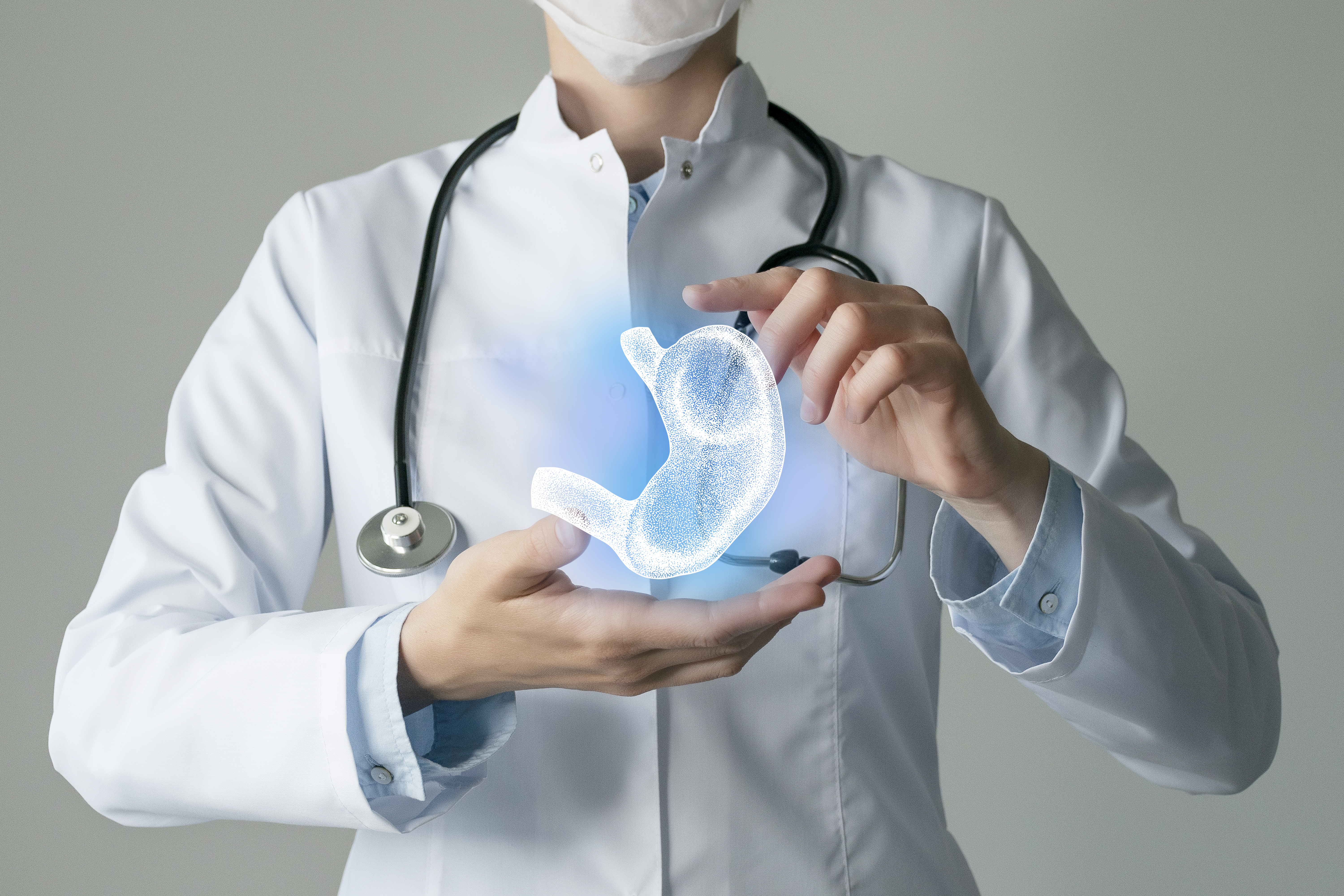 physician holding a model of a stomach