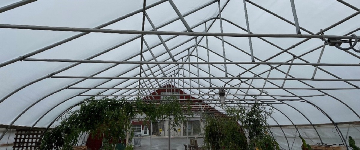 Hoop house at Trinity Health Ann Arbor hospital.